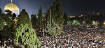 WhatsApp Image 2023-04-17 at 10.16.03 PM