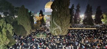 WhatsApp Image 2023-04-17 at 10.16.05 PM